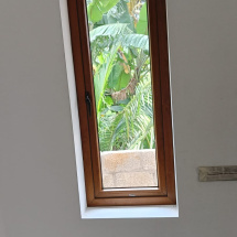 WhatsApp Image 2024-07-08 at 1.46.12 PM (1)